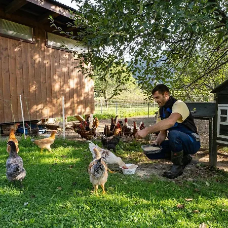 Bauernhof Hanslingerhof *