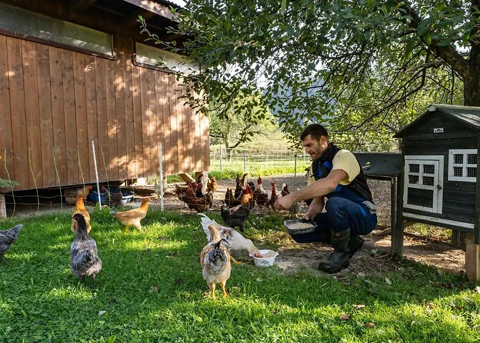 Bauernhof Hanslingerhof *