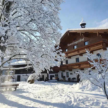 Farm stay Bauernhof Hanslingerhof